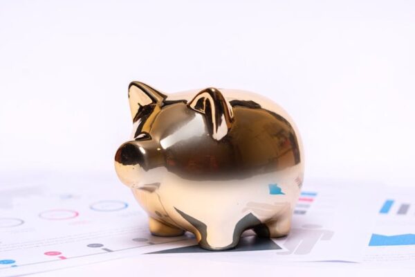 Integrating Personal Capital with Fidelity for Comprehensive US High-Net-Worth Portfolio Aggregation - Financial Analysis Image