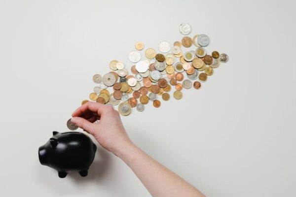 Saving on a Shoestring Budget: Realistic Strategies for Building Your Nest Egg - Financial Analysis Image