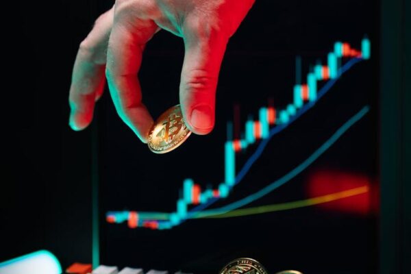 Unpacking Variable Universal Life Policies: Risk-Adjusted Investment Strategies for Legacy Planning. - Financial Analysis Image